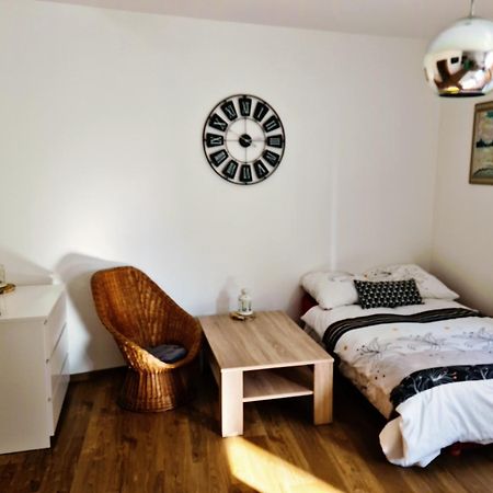 City Centre Apartments Liberec Extérieur photo